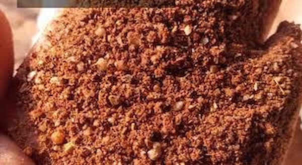 تصویر 2 از قیمت خرید پودر هسته خرما با فروش عمده